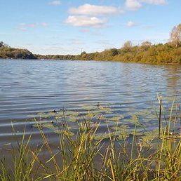 �����, ������, 53 ����