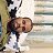 ���� Ahmed, ������, 37 ��� - ��������� 13 ���� 2025