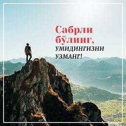 Bek, �����, 38 ���