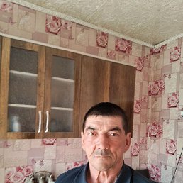 , 54, 