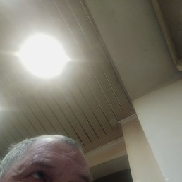 , 67, 