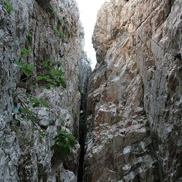 ��������� ���������, ������� ����� �� ������� �� ����� �� ���� ������ �� ���� ������ �� ���� ������.