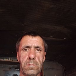  , 41 , 