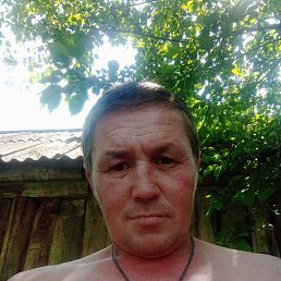 , 41, 