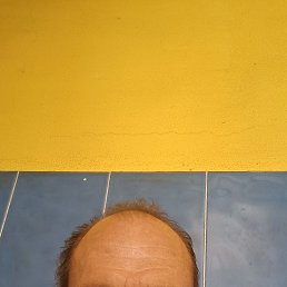  , 49 , 