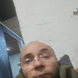 ������� ��������, 49 ���, ���������