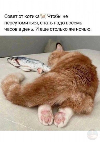 �������� �����.