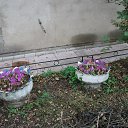 ���� �����, ����������� - ��������� 12 ������� 2024 � ������ ���� ����������