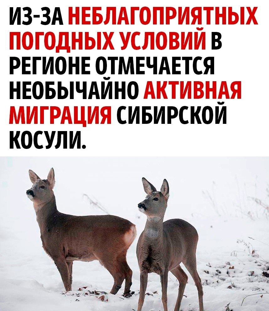      - 3