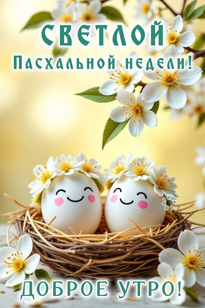 ��� ���� - 15 ������ 2026 � 11:31