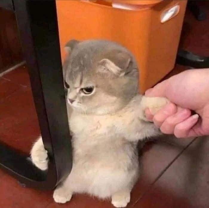   - 2