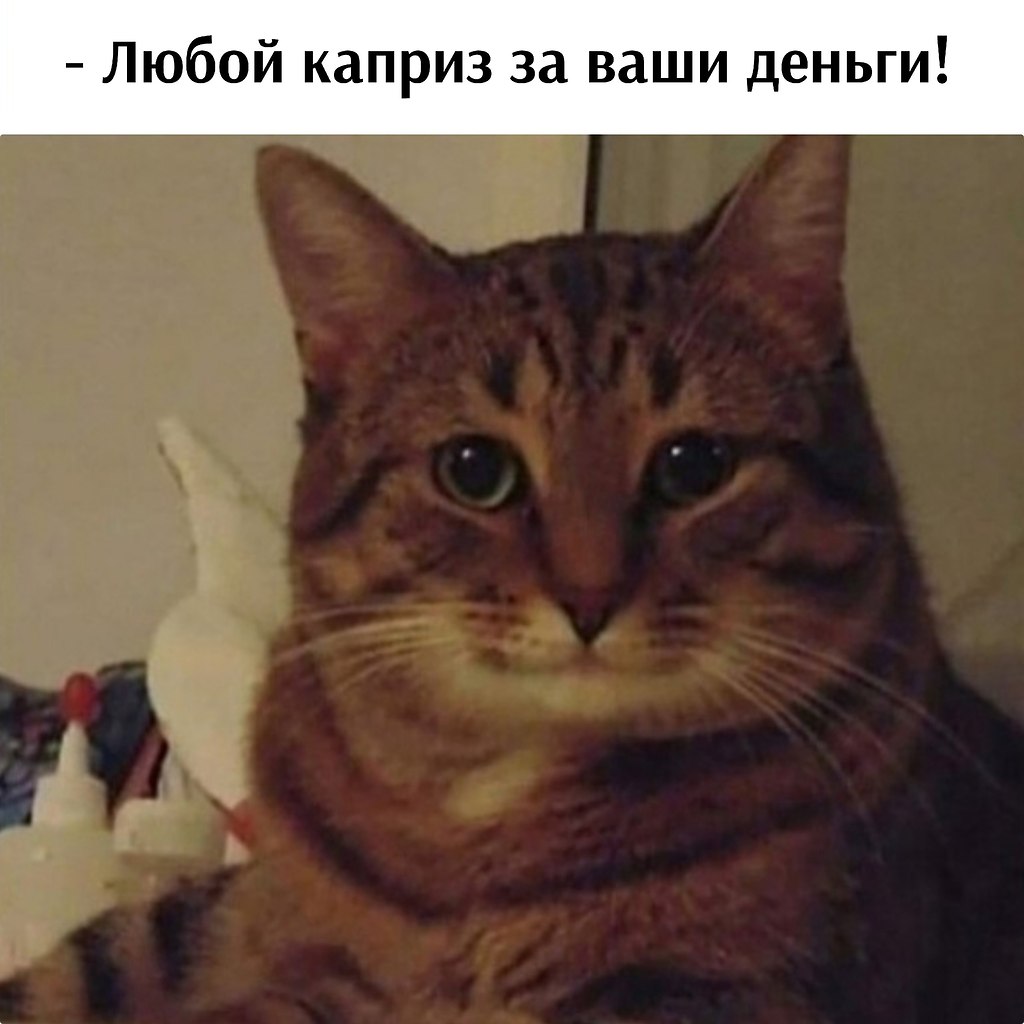       - 16  2025  16:02