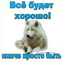 ���� ����, �����, 44 ���� - ��������� 27 ������� 2023 � ������ ���� ����������