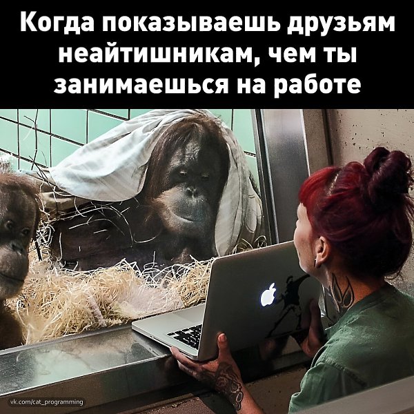 /zev/null - 22  2025  08:21