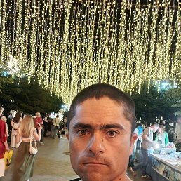 , 29, 