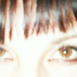 ���������, �����