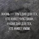 ,  -  13  2024      