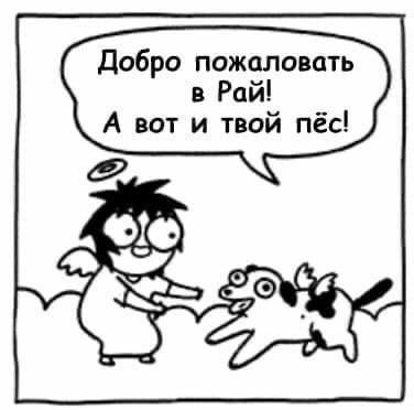  - 17  2025  13:06