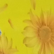 ������, 32 ����, ������