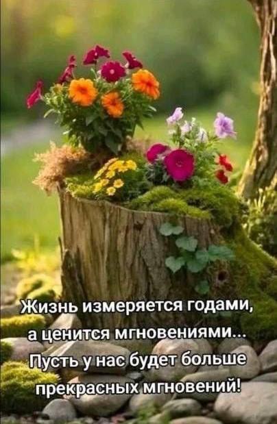  - 17  2025  13:23