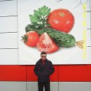 ���� ������, ���������, 52 ���� - ��������� 4 ������� 2025 � ������ ���� ����������