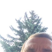 , 45 , 