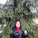 ���� ��������, ����, 41 ��� - ��������� 7 ������� 2025 � ������ ���� ����������