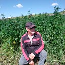 ���� ������� �������, ������, 55 ��� - ��������� 7 �������� 2025 � ������ ���� ����������