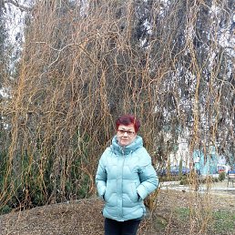 �������, ��������, 65 ���