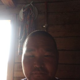 , 37, 