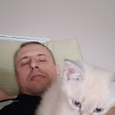 ���� ������, �������, 41 ��� - ��������� 23 ������ 2025 � ������ ���� ����������