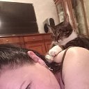 ���� �������, �����������, 48 ��� - ��������� 22 �������� 2025 � ������ ���� ����������