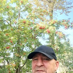 ��������, �����������, 50 ���