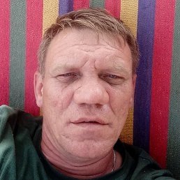 �������, ������, 46 ���