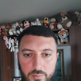, 37, 