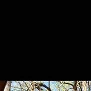 ������, 44 ����, ������