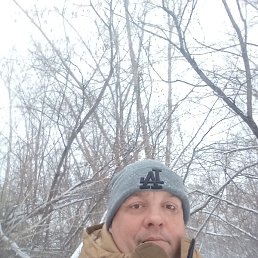 ������� �������, ��������, 44 ����