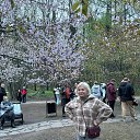 ���� ���, ������ - ��������� 26 ������ 2024 � ������ ���� ����������