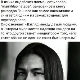���� Tourist, ��� ���� - ��������� 27 ��� 2025