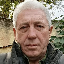 �������, �������, 65 ���