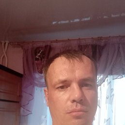 , 37, 