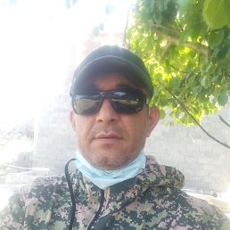 , 44, 