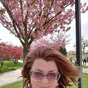 ���� ����������, ������-��-����, 49 ��� - ��������� 27 ������� 2023 � ������ ���� ����������