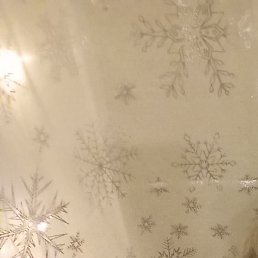 �����, ��������, 49 ���