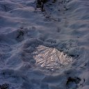 ���� �������, ������, 34 ���� - ��������� 7 ������ 2025 � ������ ���� ����������