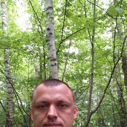 �������, 42 ����, ���������