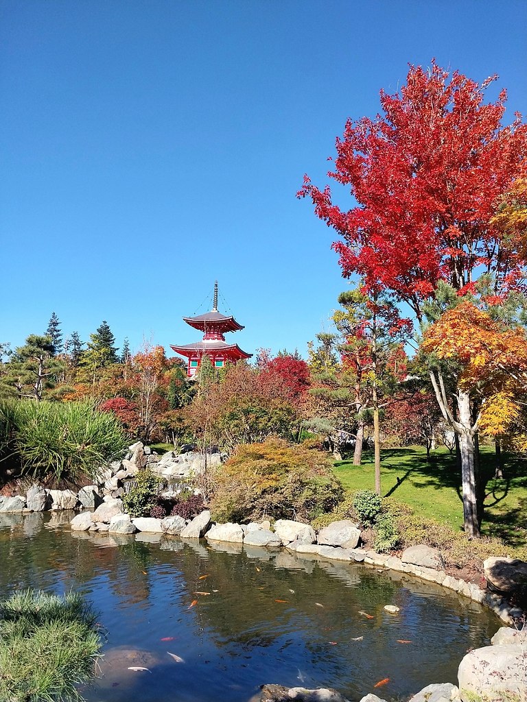 paca oce  oco ca  pacoape. - 6