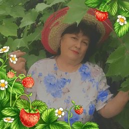 �������, ������, 66 ���