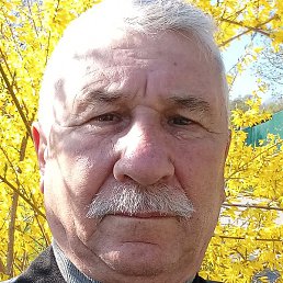 �������, �����������, 66 ���