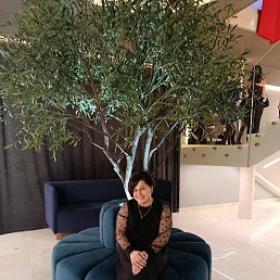 ������, �������, 44 ����